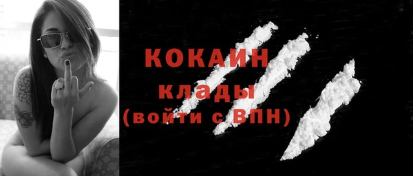 дмт Сясьстрой