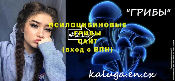 мдпв Тавда