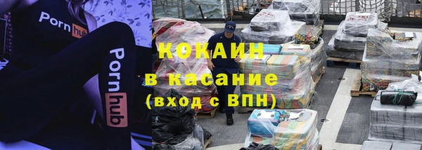 эйфоретик Тайга